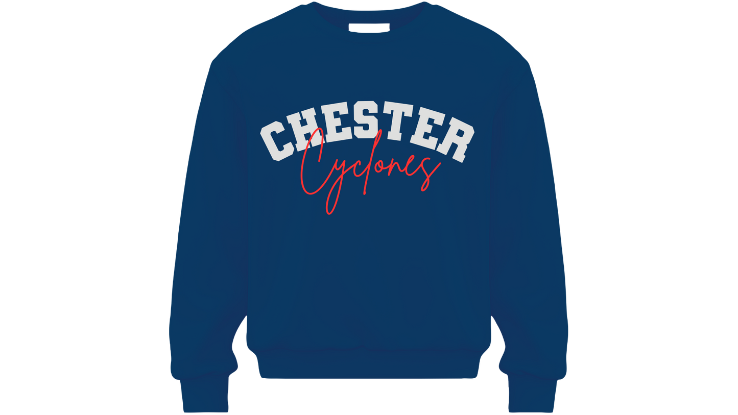 Custom Applique Embroidery Sweatshirt