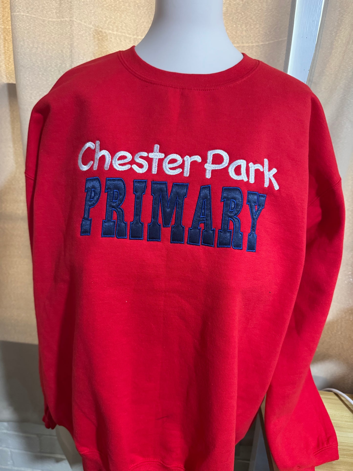 Chester Park Primary with Silk
