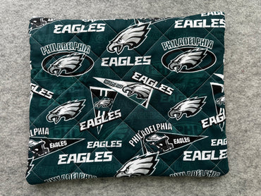 Quilted Pouch - Eagles